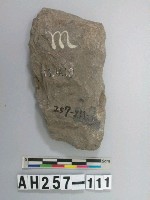 藏品(打製石器殘件)的圖片